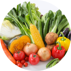 野菜や肉、魚介類などの生鮮品から加工食品まで